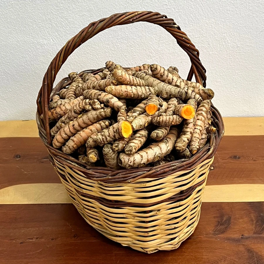 250 gr Zerdeçal (Yeni Hasat)