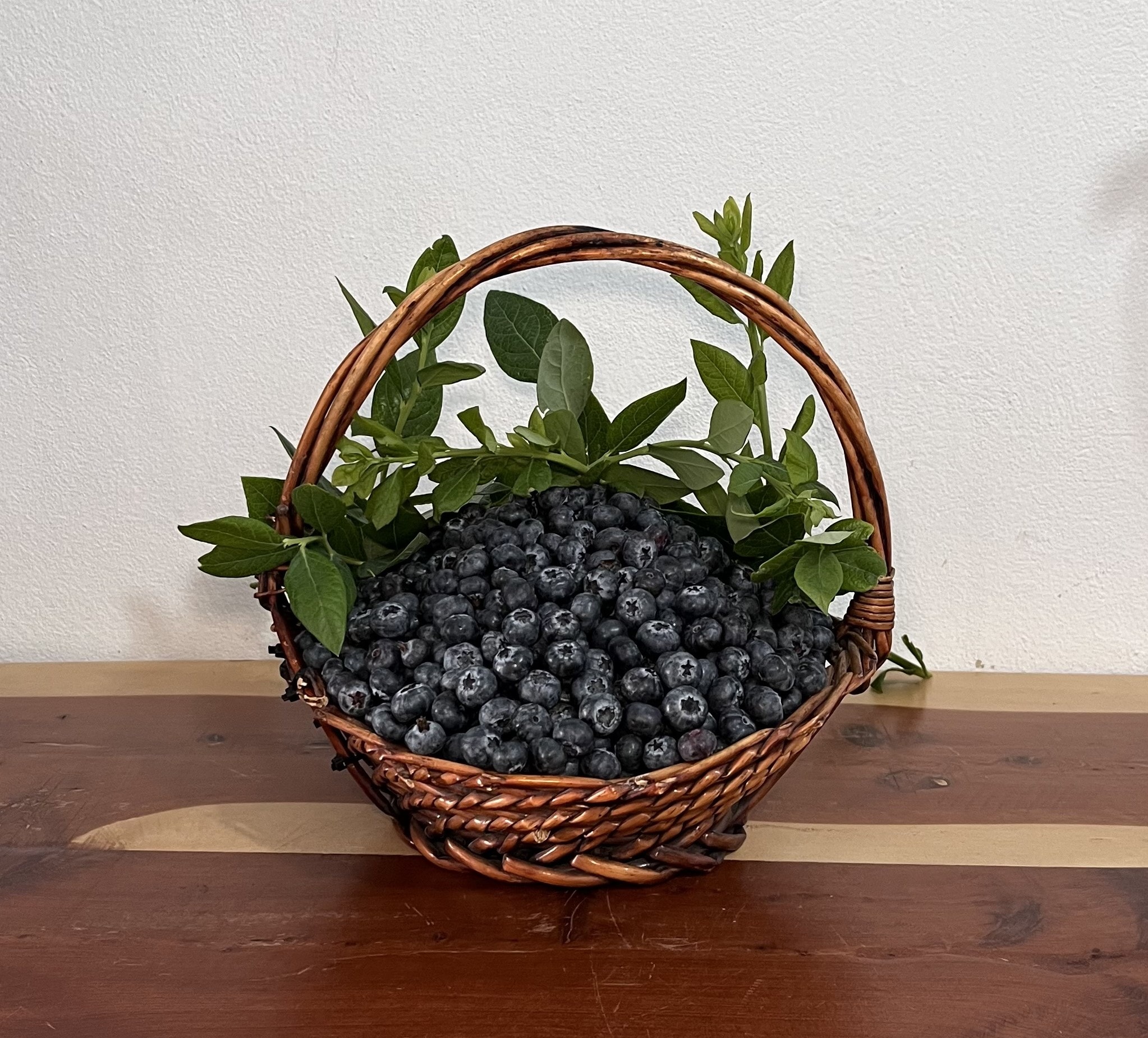 500 gr Yaban Mersini Orta Boy (Yerli) görseli.