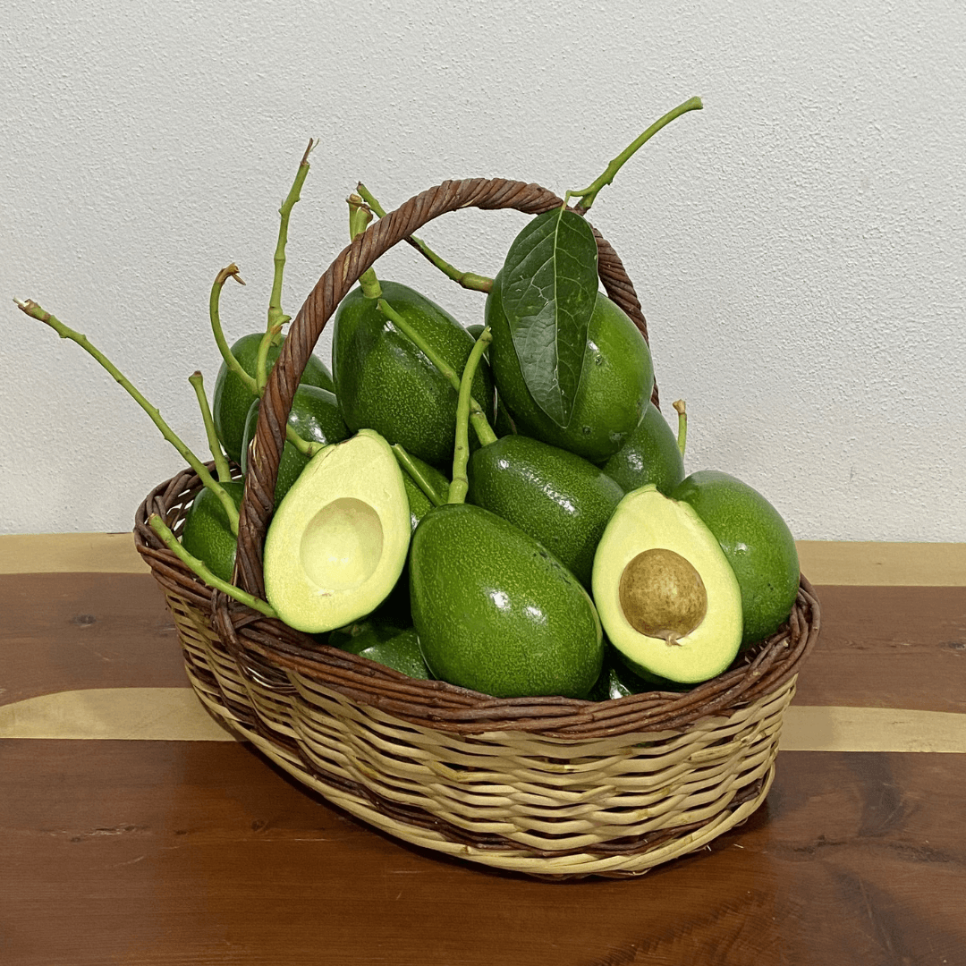 1 kg Alanya Avokadosu (150 200 gr arası) görseli.