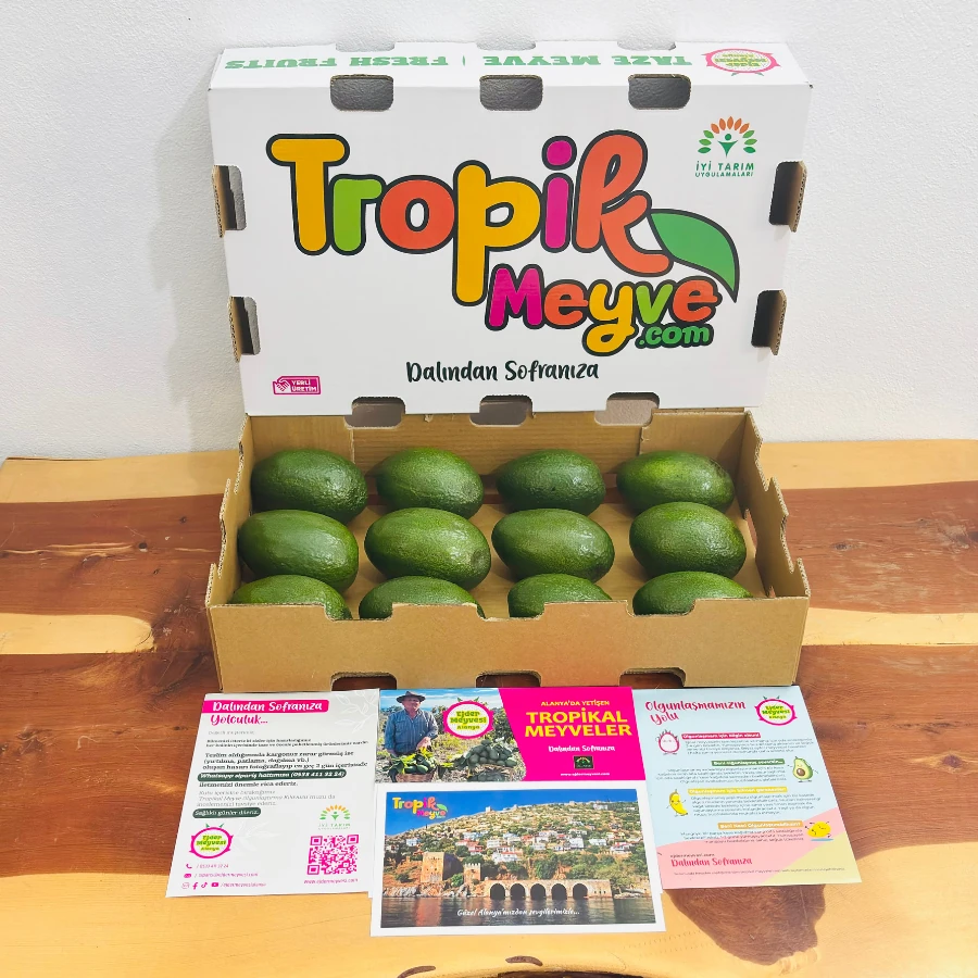 Bacon Avokado Kutusu