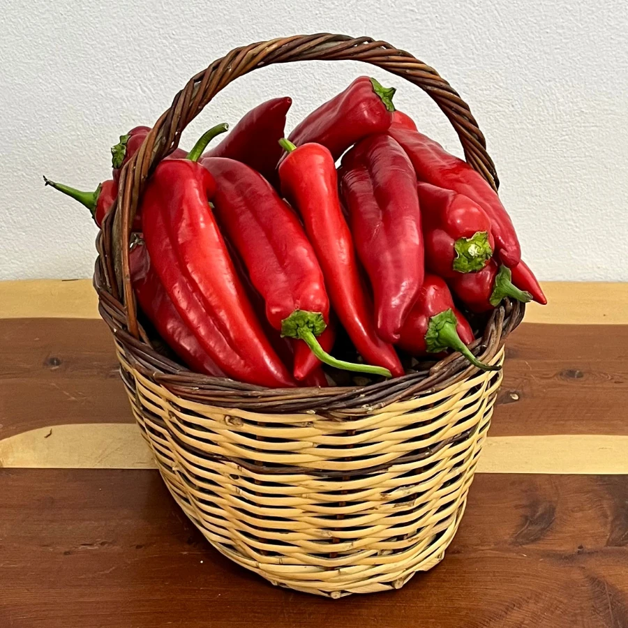 1 kg Kapya Kırmızı Köy Biberi