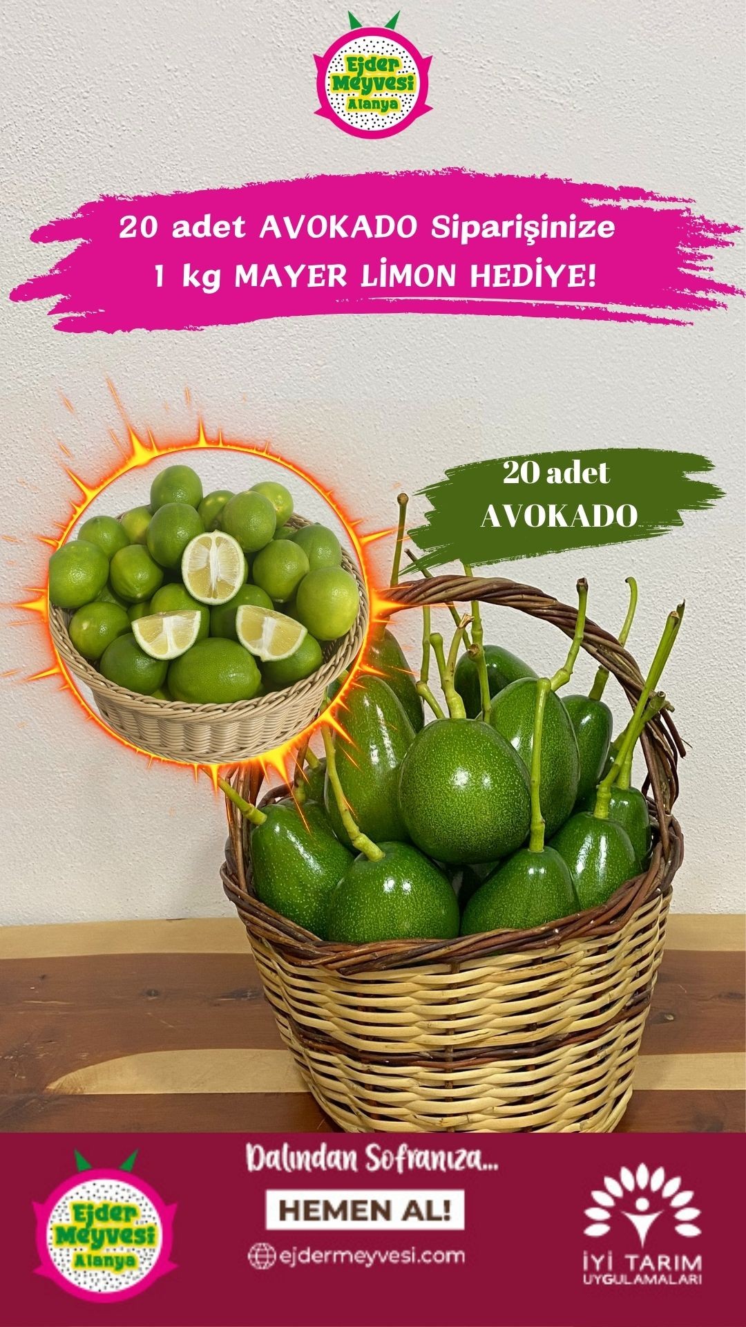 20 adet Alanya Avokadosu görseli.