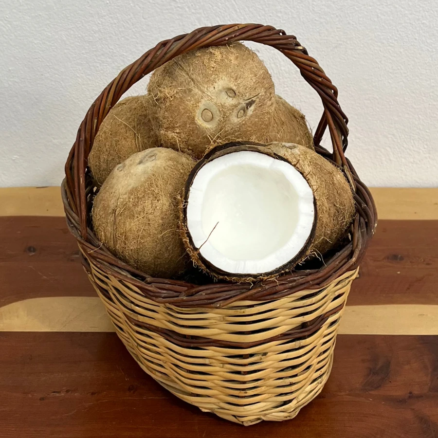 1 adet Hindistan Cevizi (Vietnam)