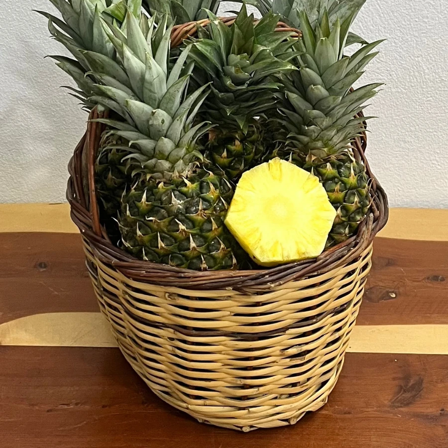 1 adet Ananas (Kosta Rika)