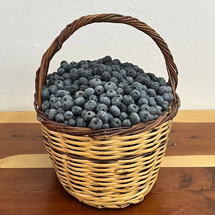 125 gr Yaban Mersini Orta Boy (Yerli)