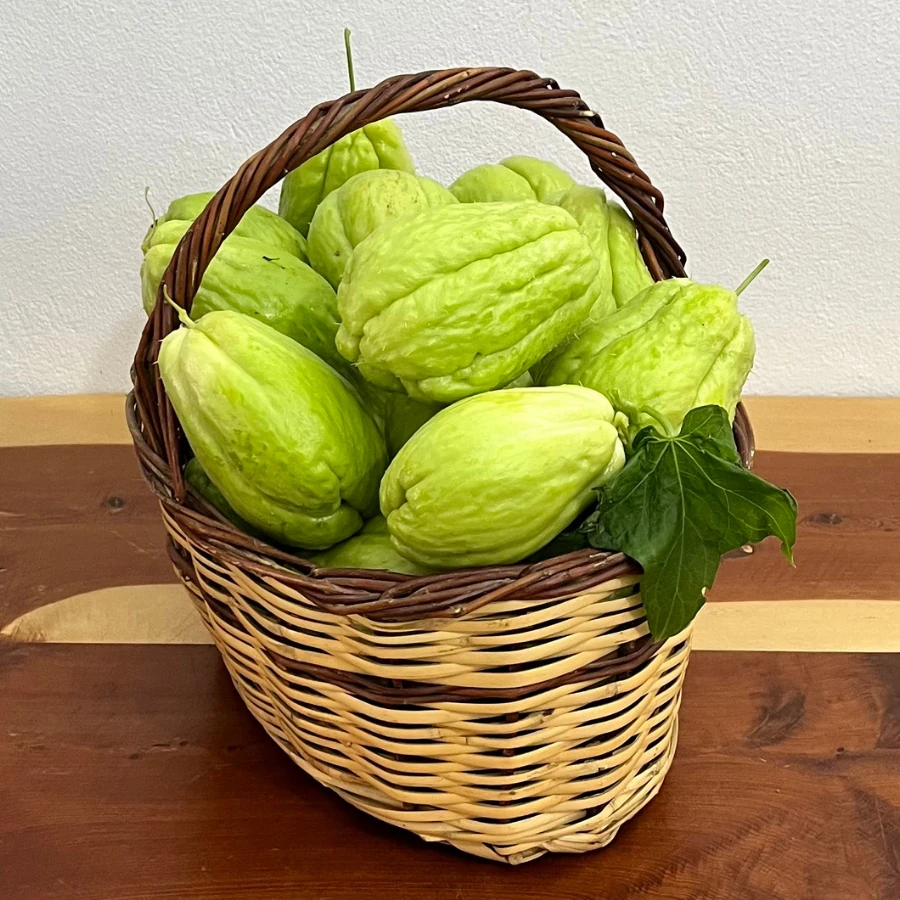 1 kg Dikenli Kabak (Rodos Kabağı)