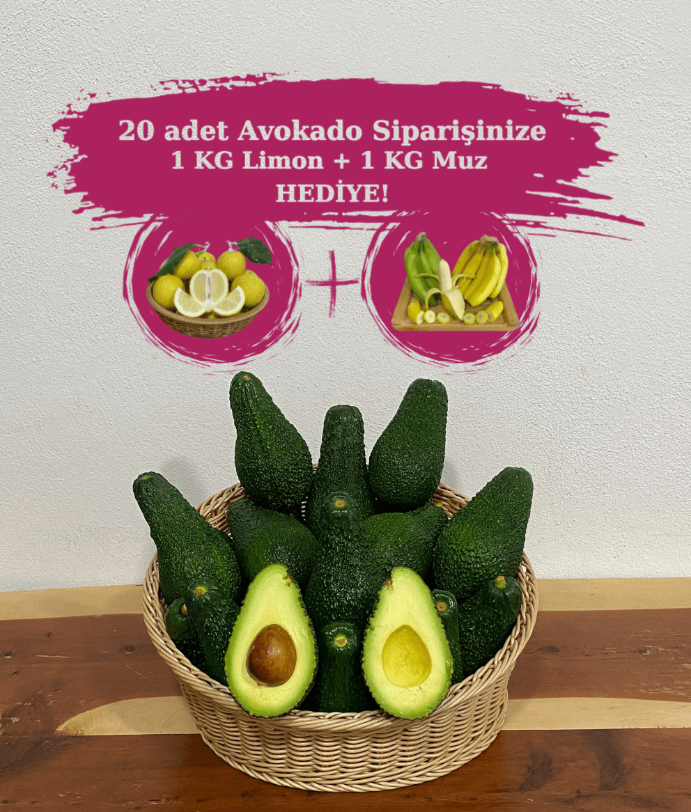 20 adet Avokado (Pinkerton) 200 gr üzeri