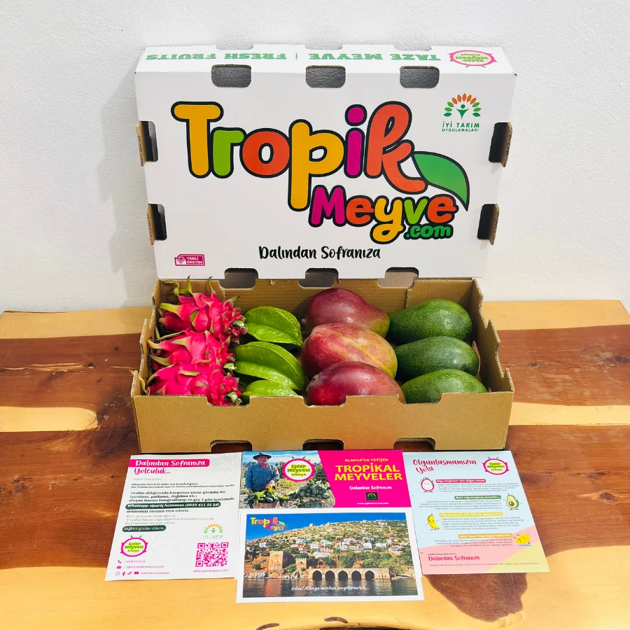 Yıldız Meyveli Kutu