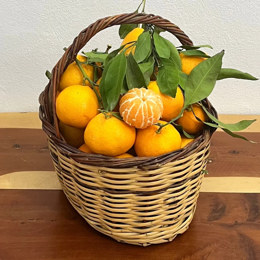 1 kg Mandalina (Satsuma)