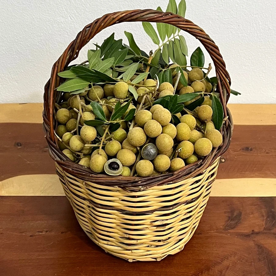 125 gr Longan (Ejderha Gözü)