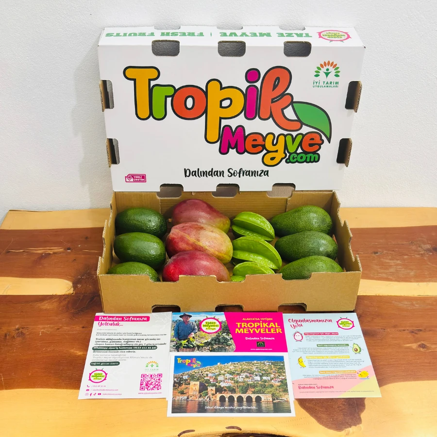 Yıldız Meyveli Avokado Kutusu