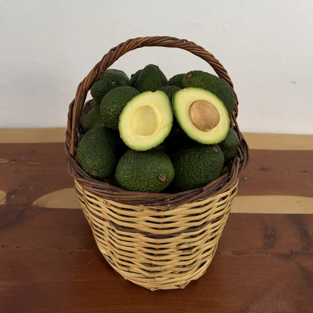 10 adet Avokado Hass (İthal) 140-200 gr arası