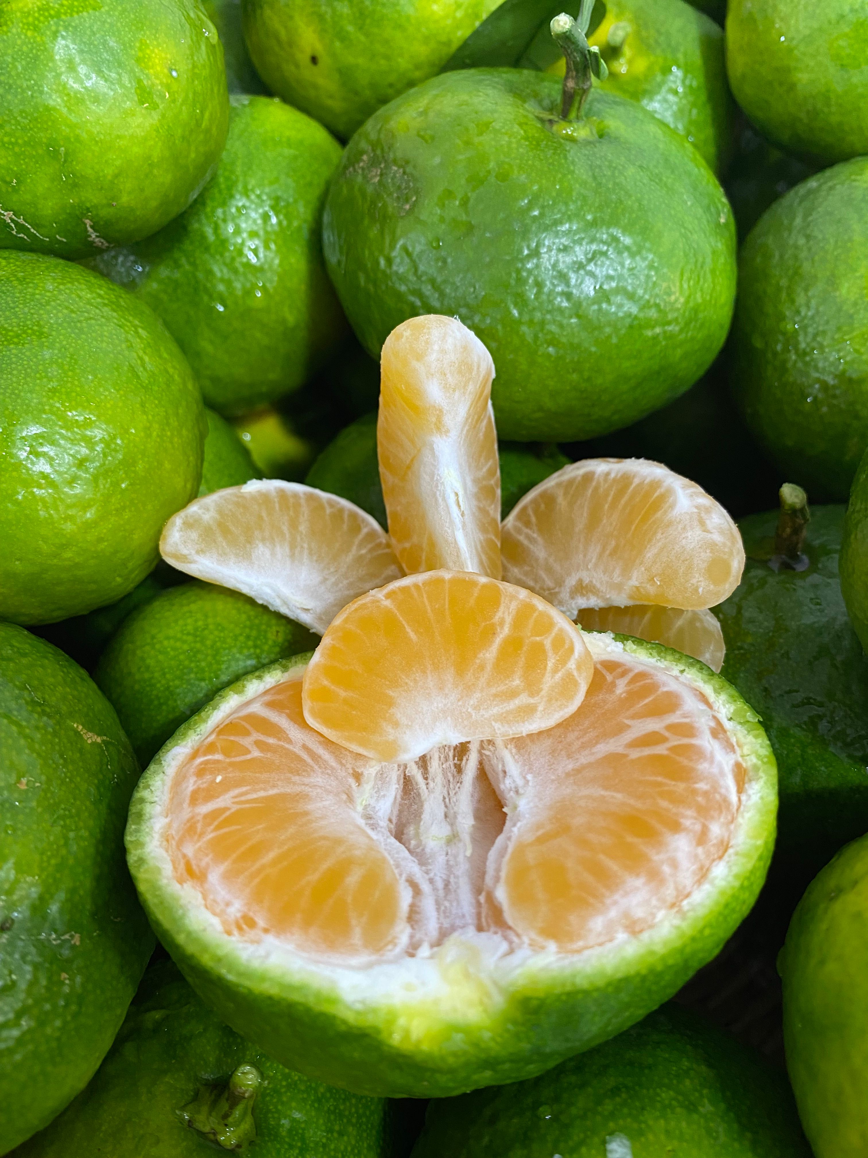 1 kg Mandalina (Satsuma)