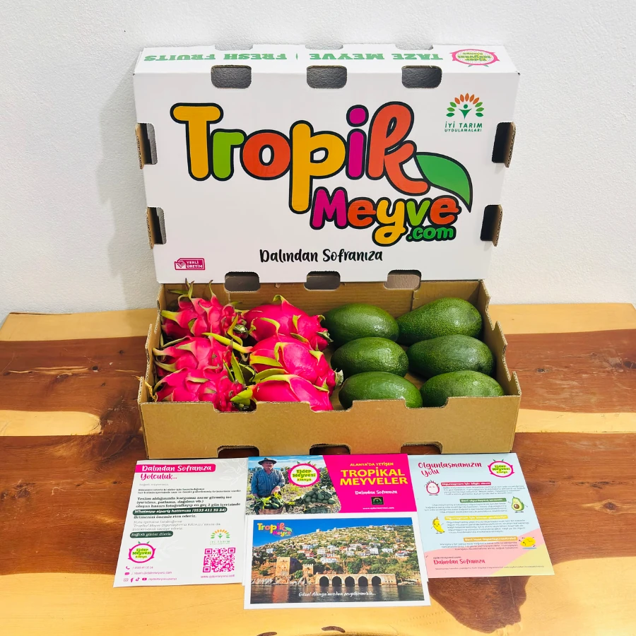 Avokado Ejder Meyvesi Kutusu