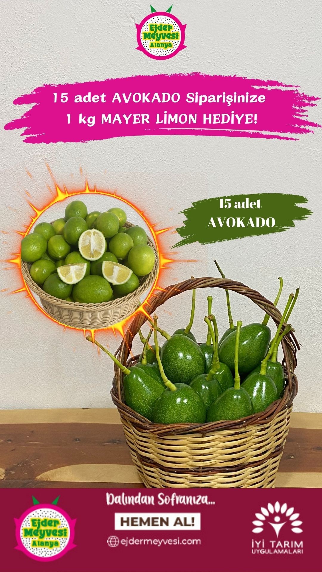 15 adet Alanya Avokadosu görseli.