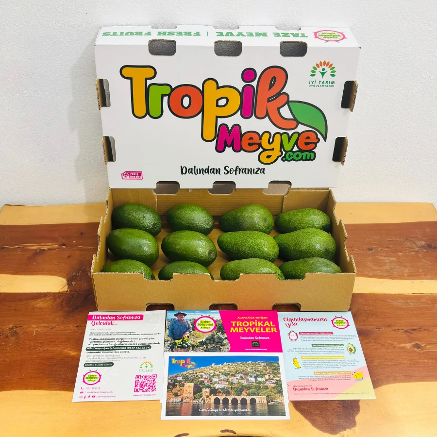 2 Avokado Kutusu
