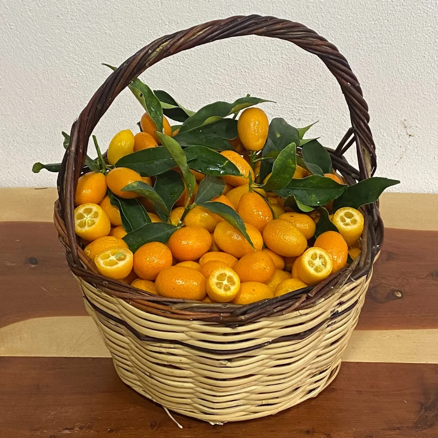 500 gr Kumkuat (Kamkat)