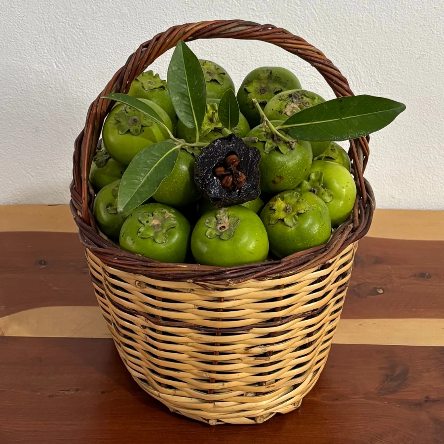 1 adet Çikolata Meyvesi 80 gr üzeri