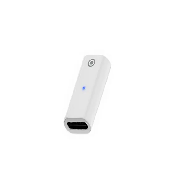 Ally Disi Lightning to Disi Type-C Dönüstürücü Apple Pencil Kalem