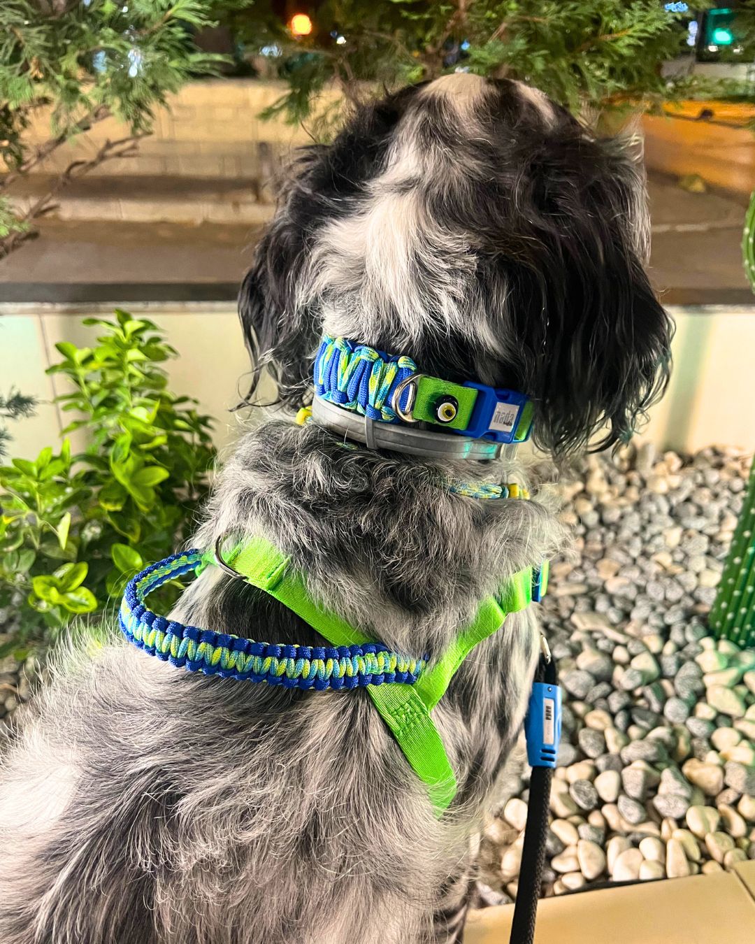 Breeze Önden & Sırttan Çekmeli Göğüs Tasması