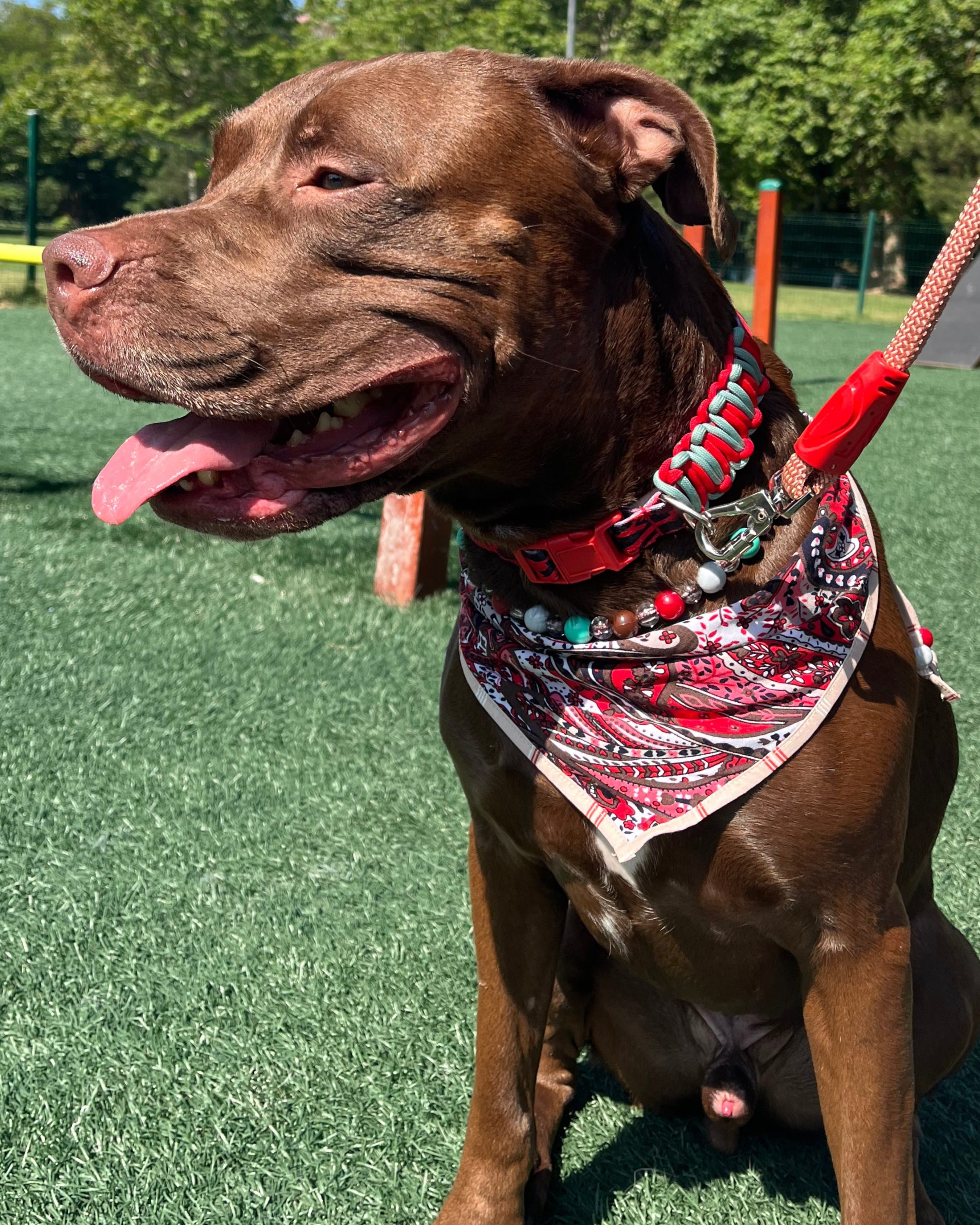 Maya Bandana