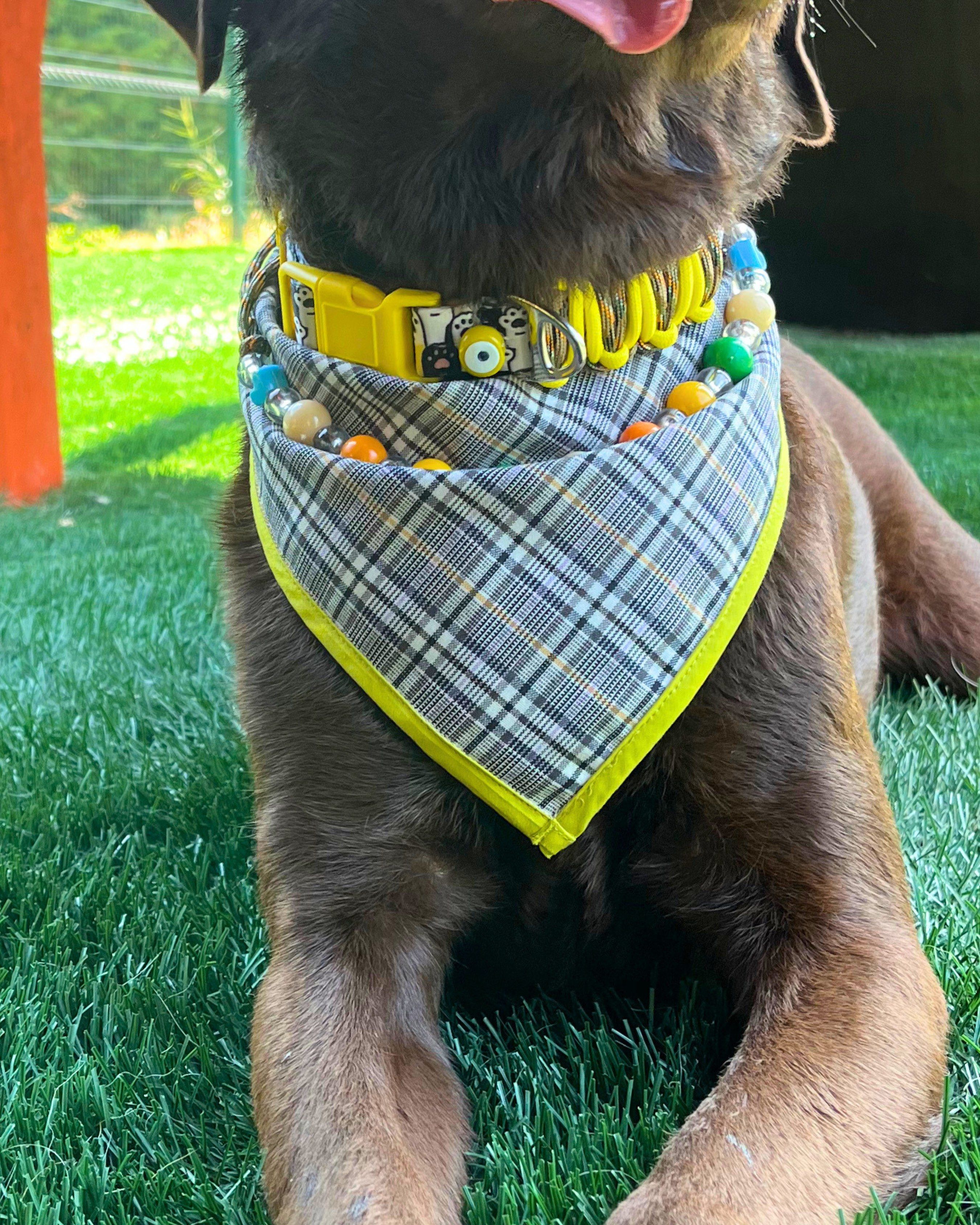 Miel Bandana