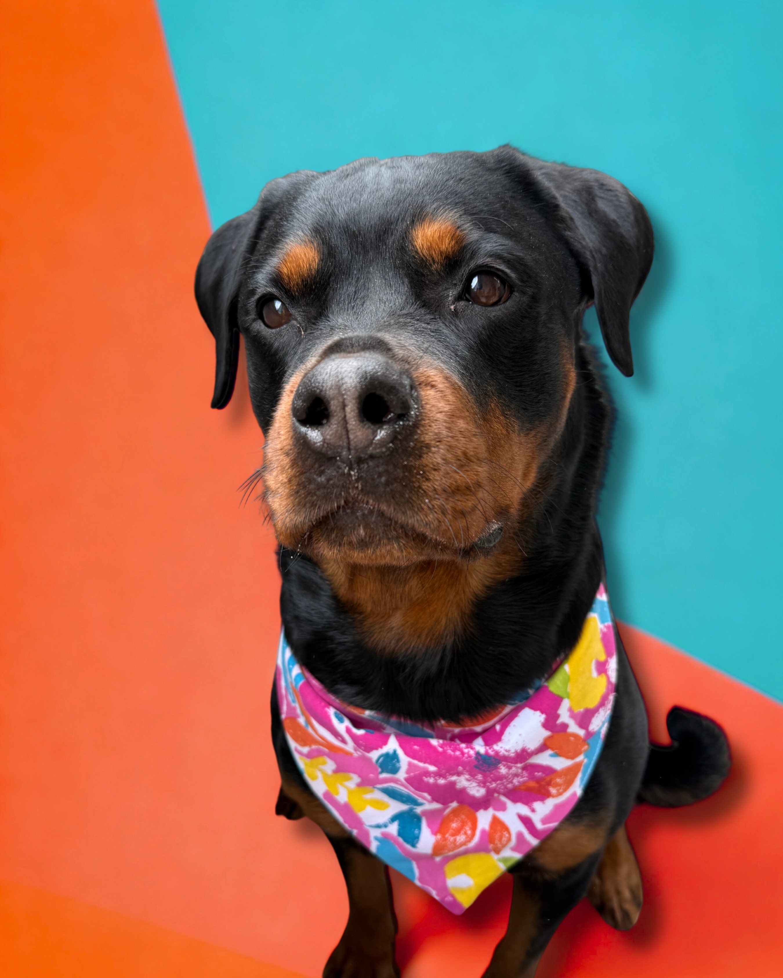 Blossom Bandana & Toka Set