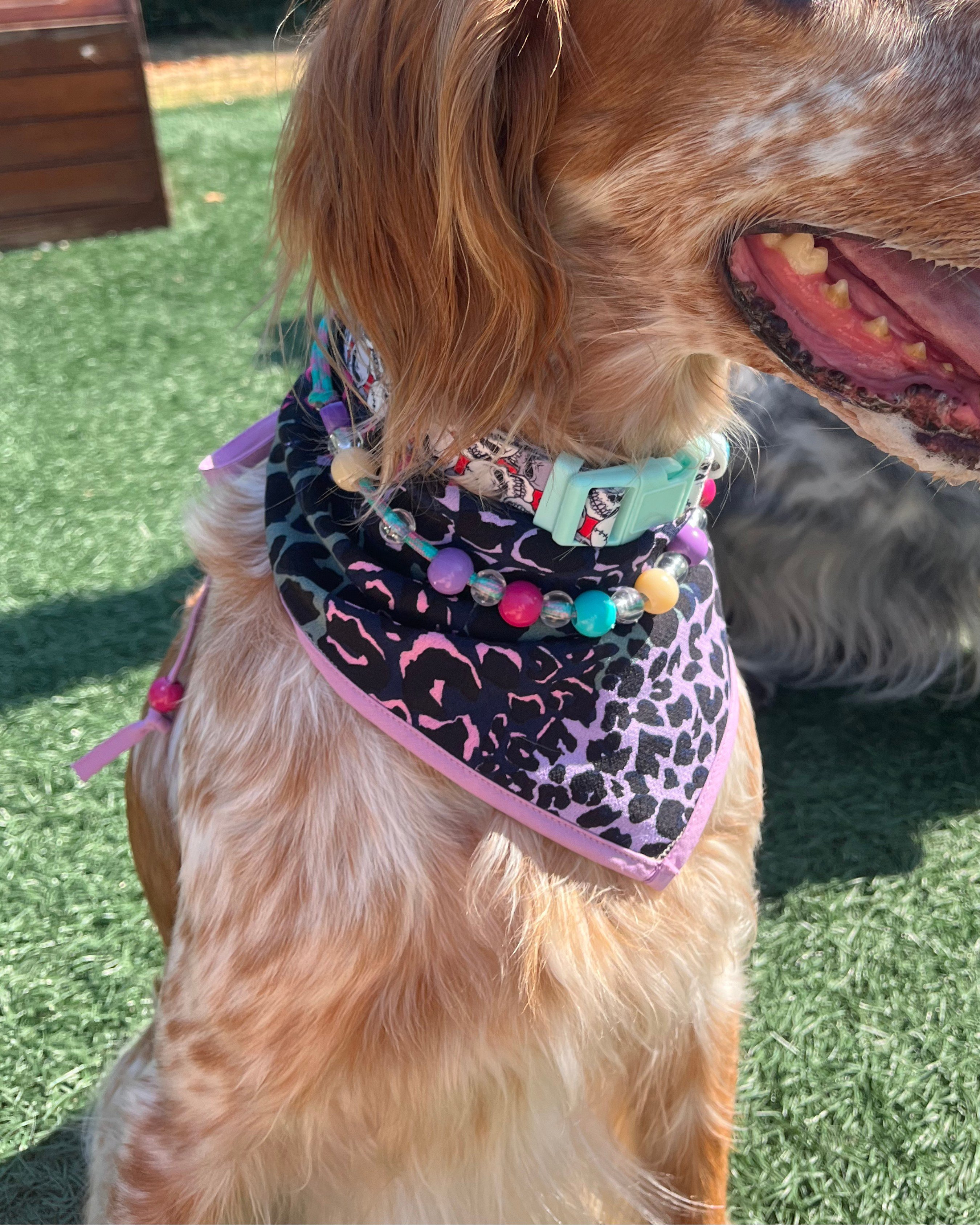 Sofita Bandana