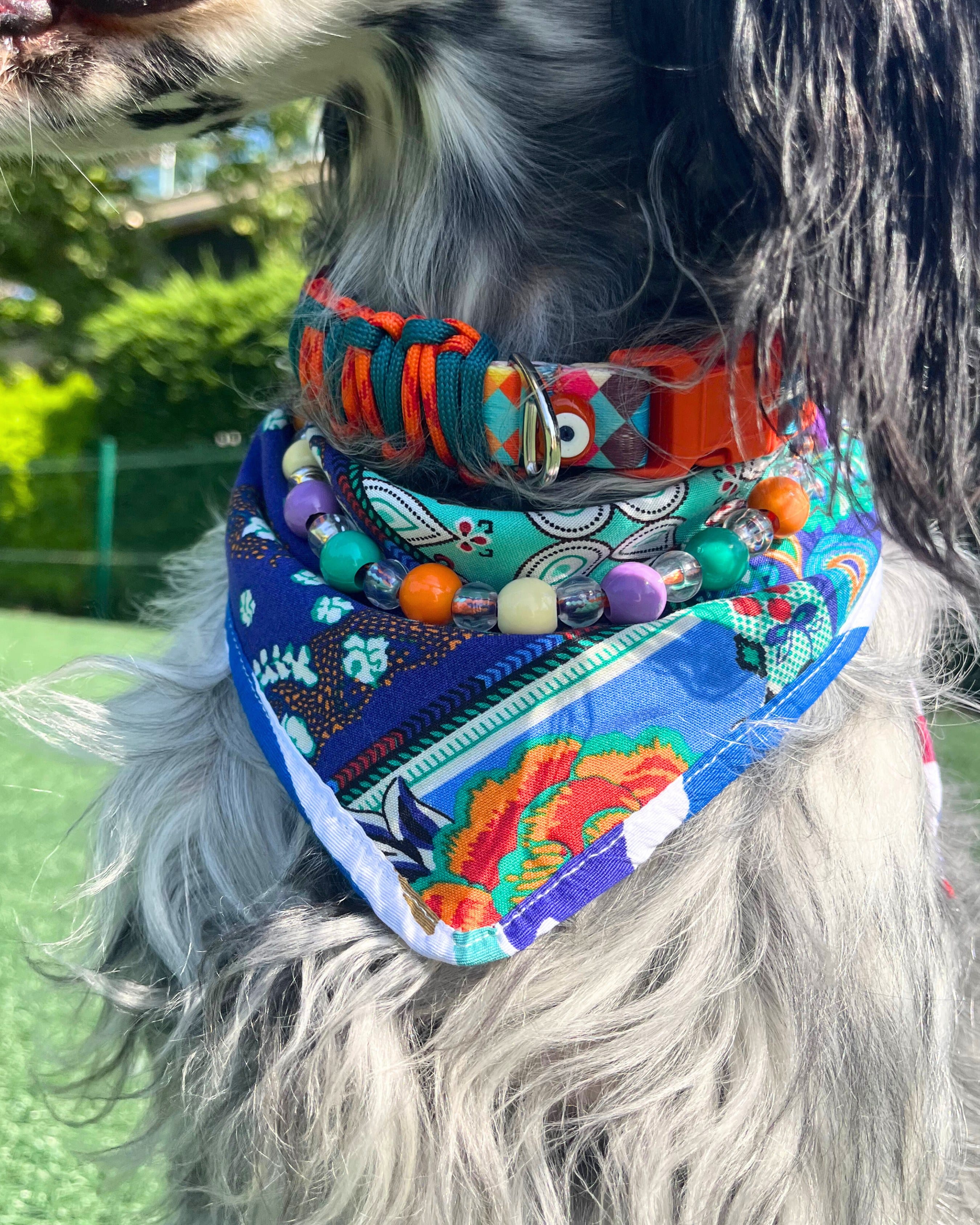 Jack Bandana
