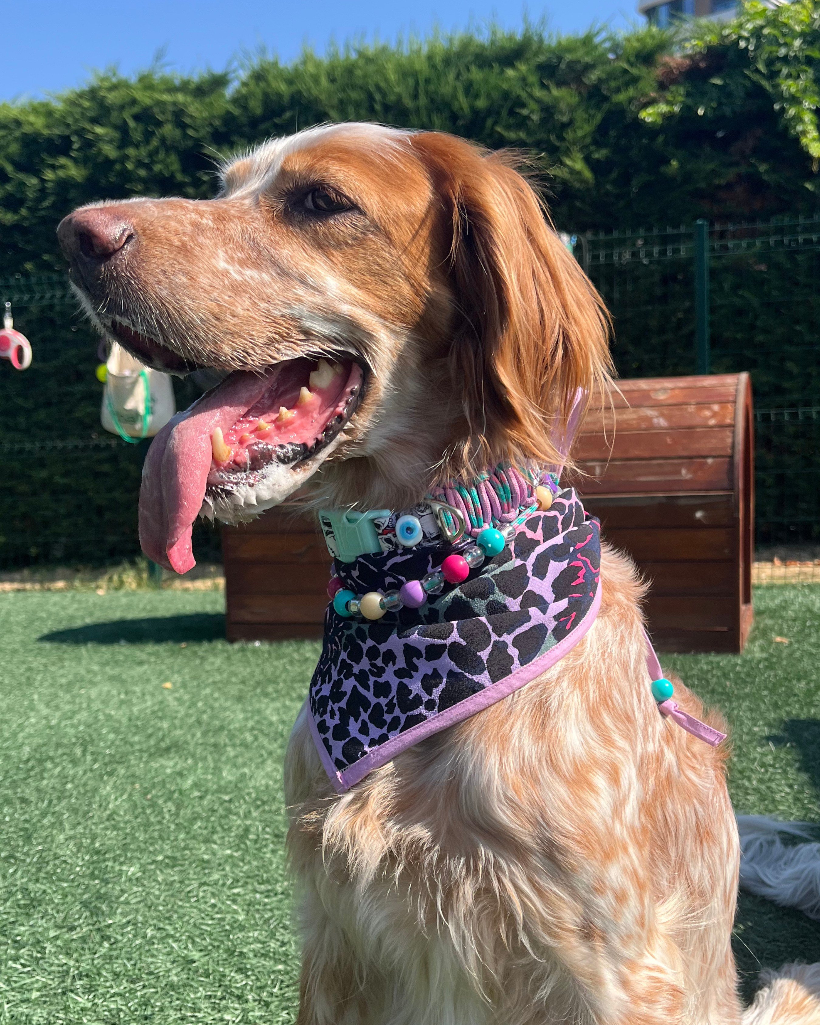 Sofita Bandana