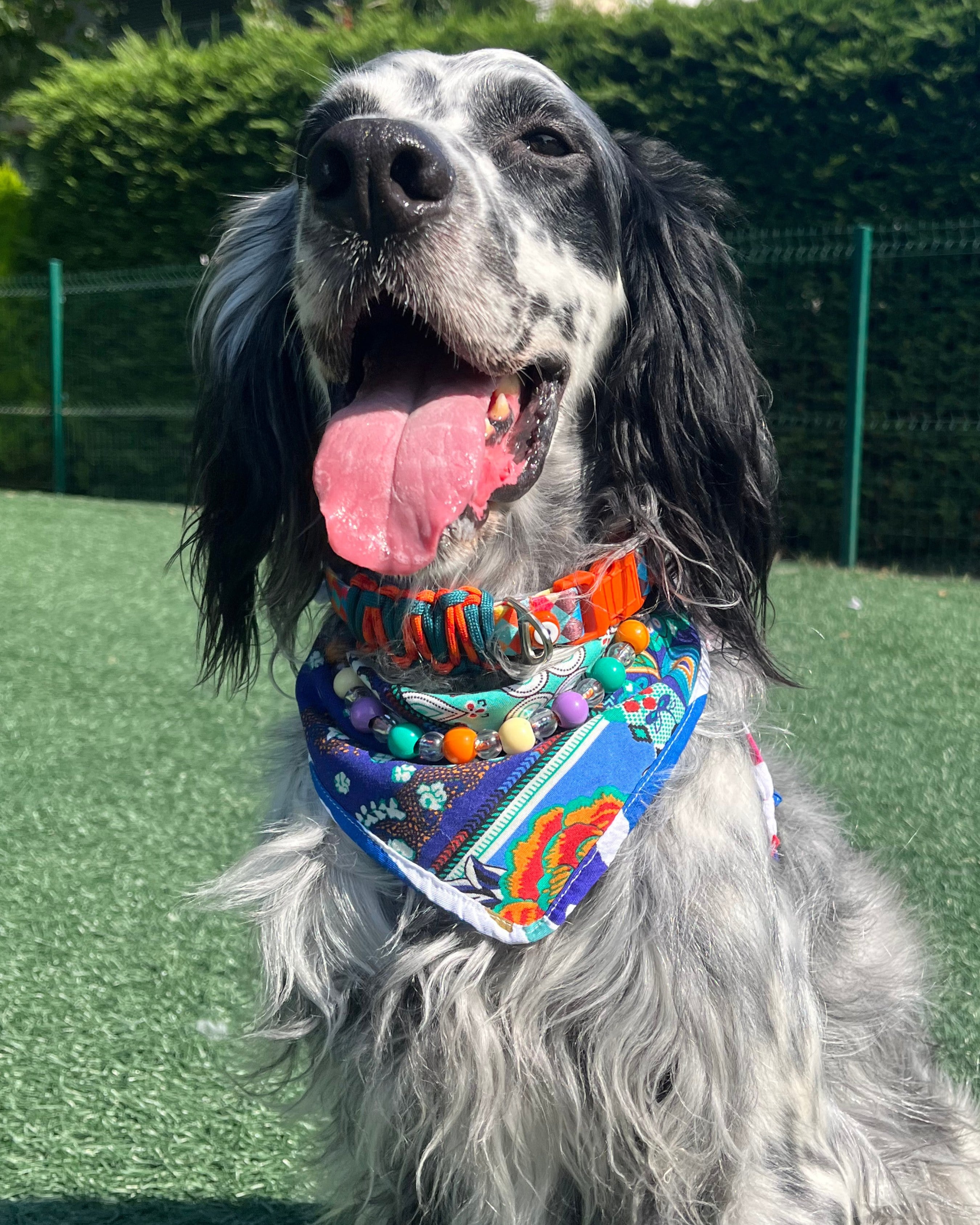Jack Bandana