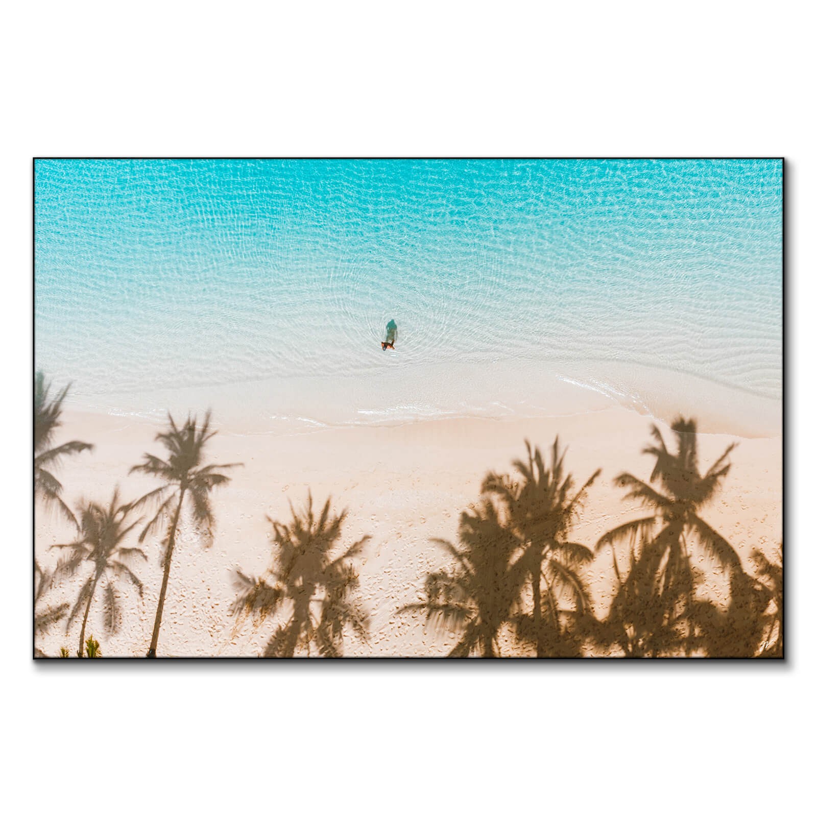 Hawaii Sahil kıyıları Manzara Tablosu