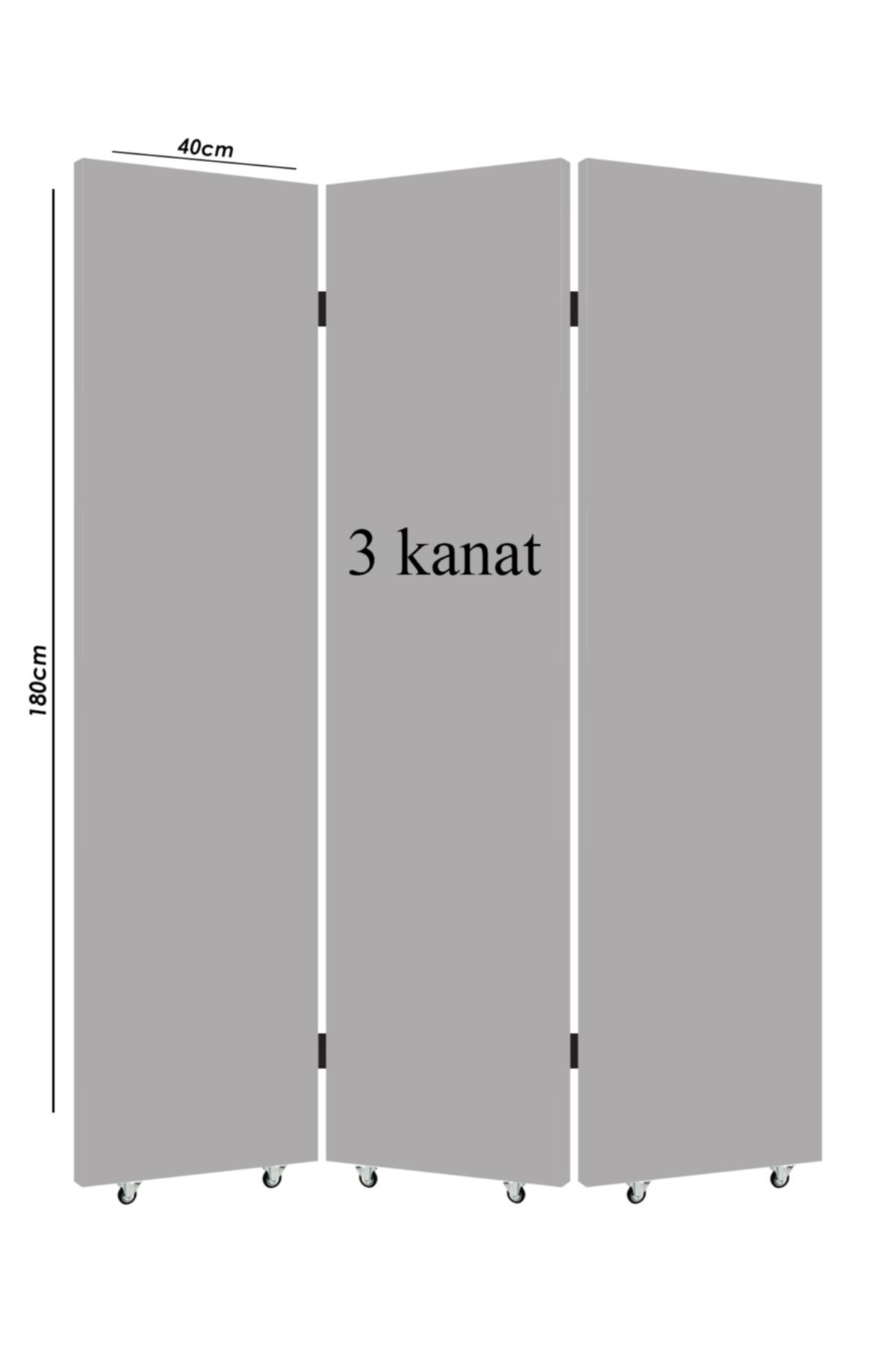 Bambu Resimli Farklı Kanatlı Oda Bölücü Çift Taraflı Kanvas Paravan