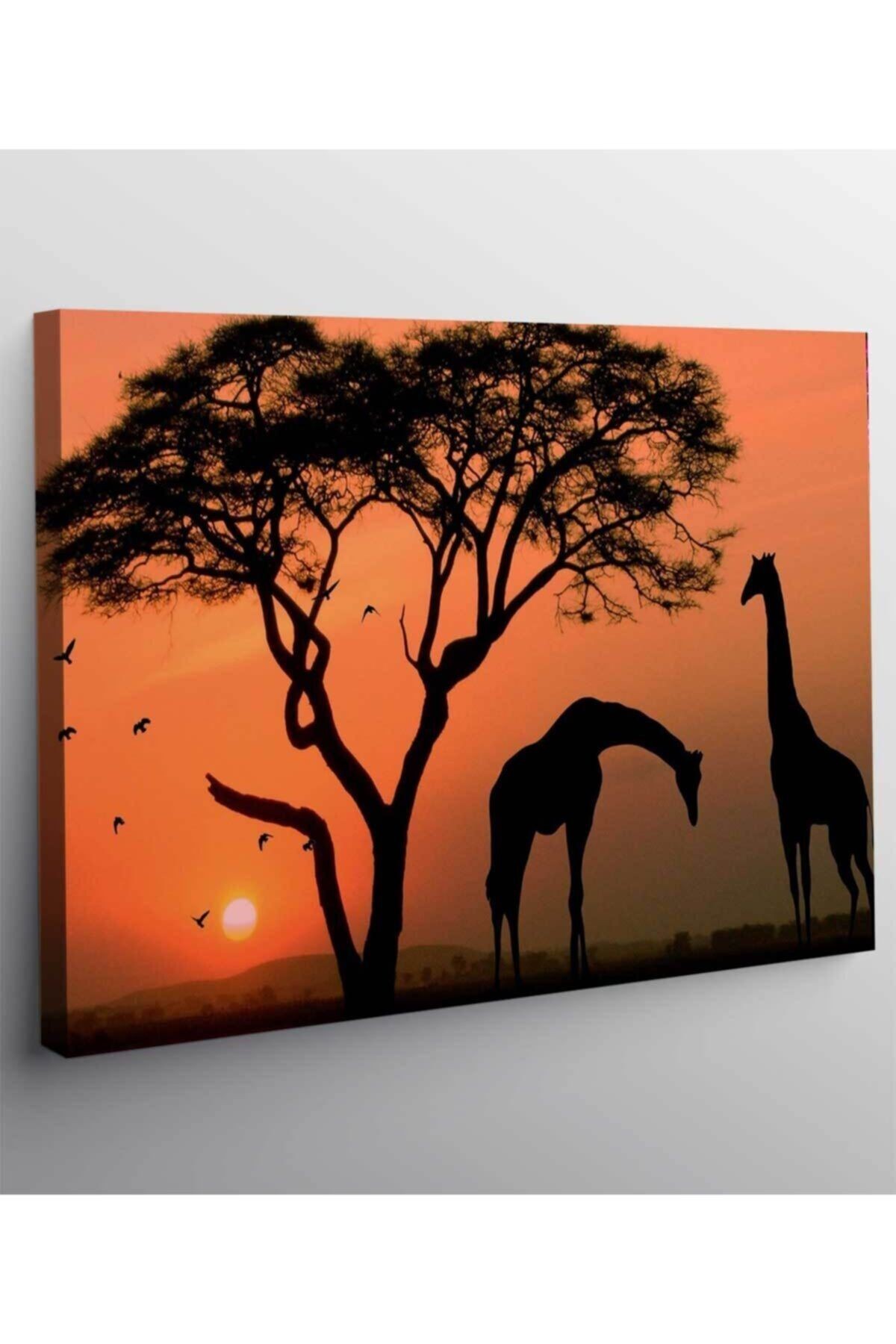 Afrika Gün Batımı Kanvas Tablo