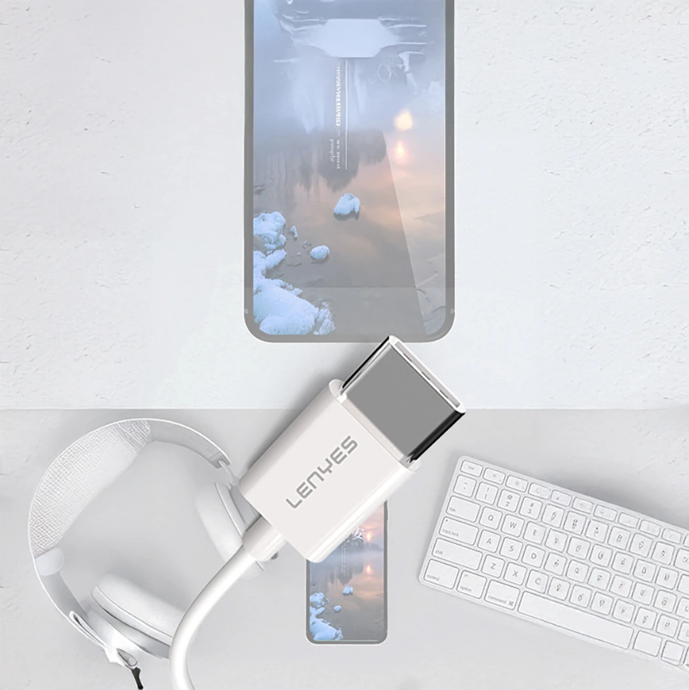 Lenyes AX91 Type-C to 3.5mm Hi-Fi Aux Çevirici Ses Adaptörü