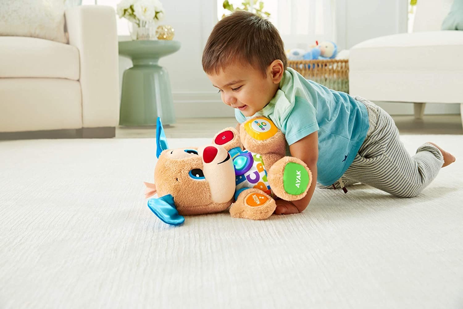 Fisher Price Eğitci Köpekçik (Türkçe) 