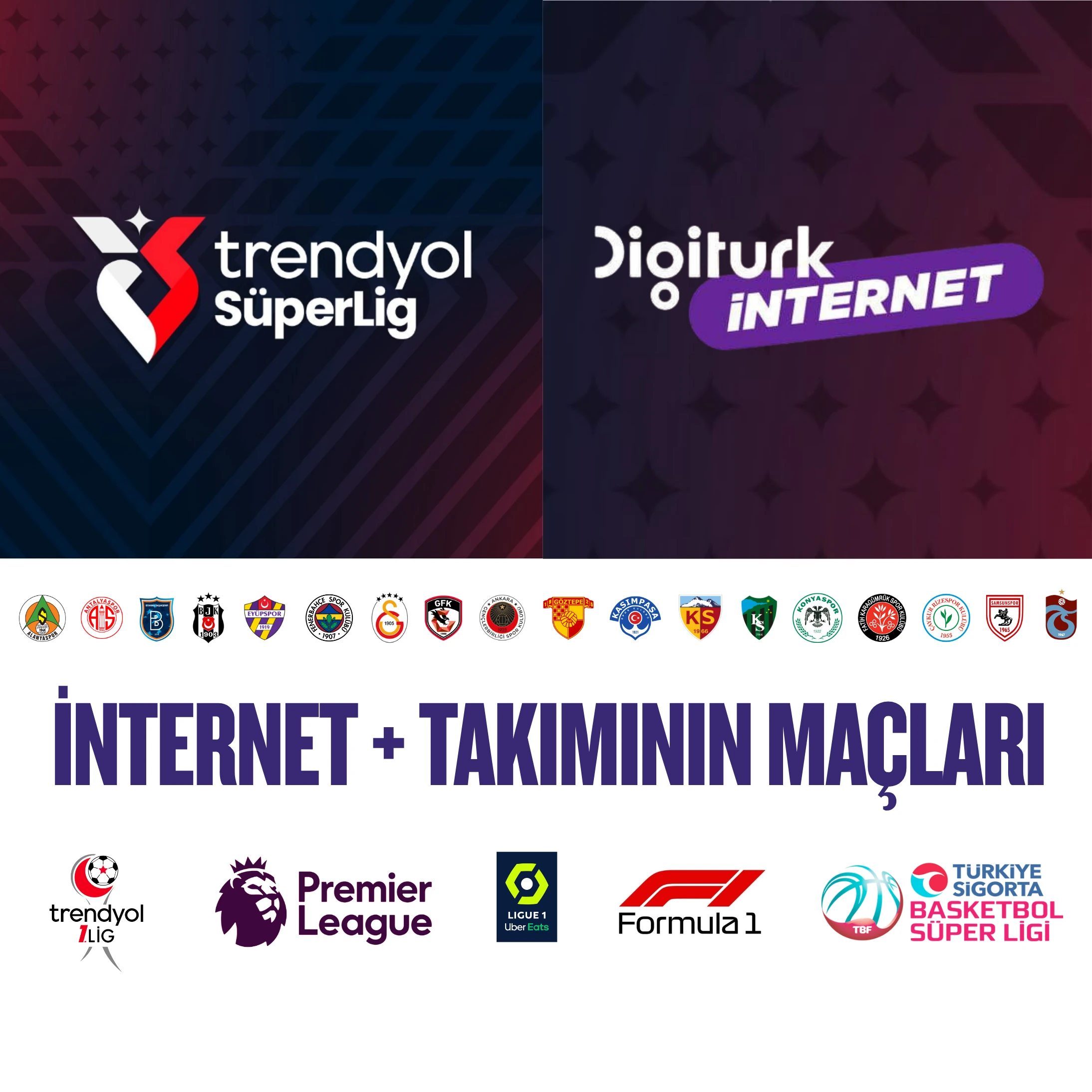 Aylık Faturalı (12 Ay)