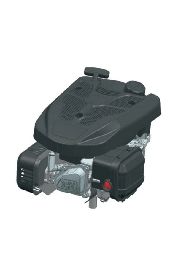 Gkv170fe Benzinli Motor