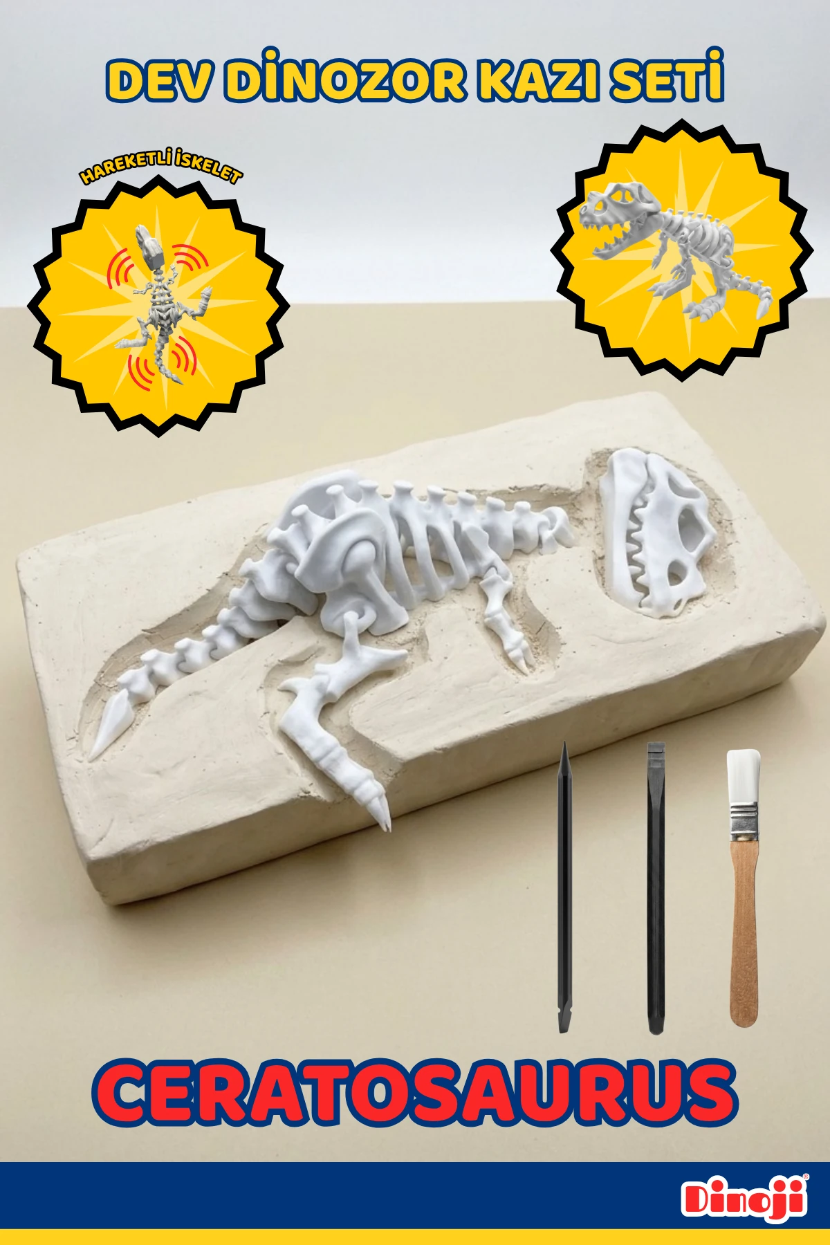 Ceratosaurus İskelet Kazı Seti