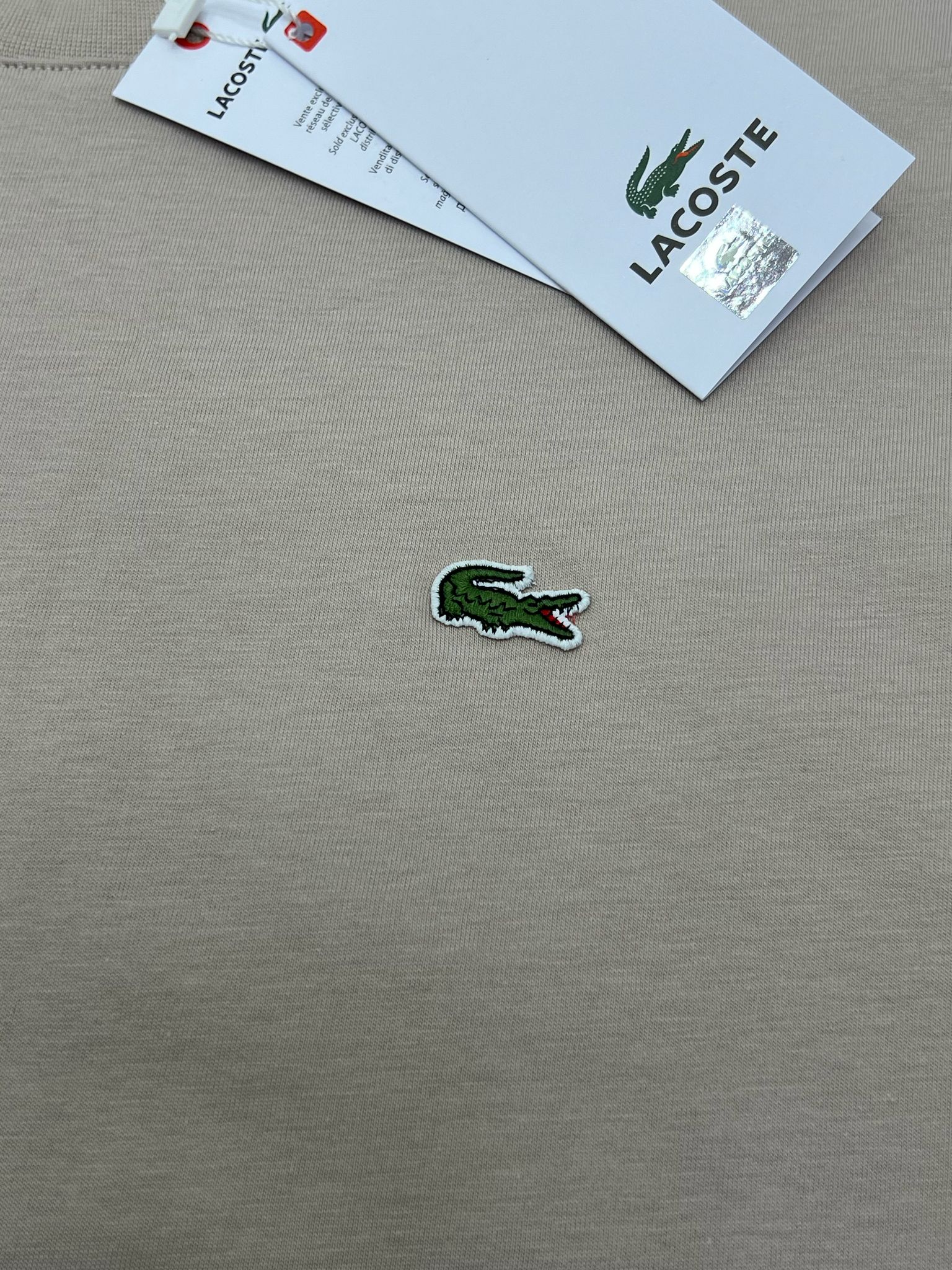 Yeni Sezon Basic Mini Logo T-shirt