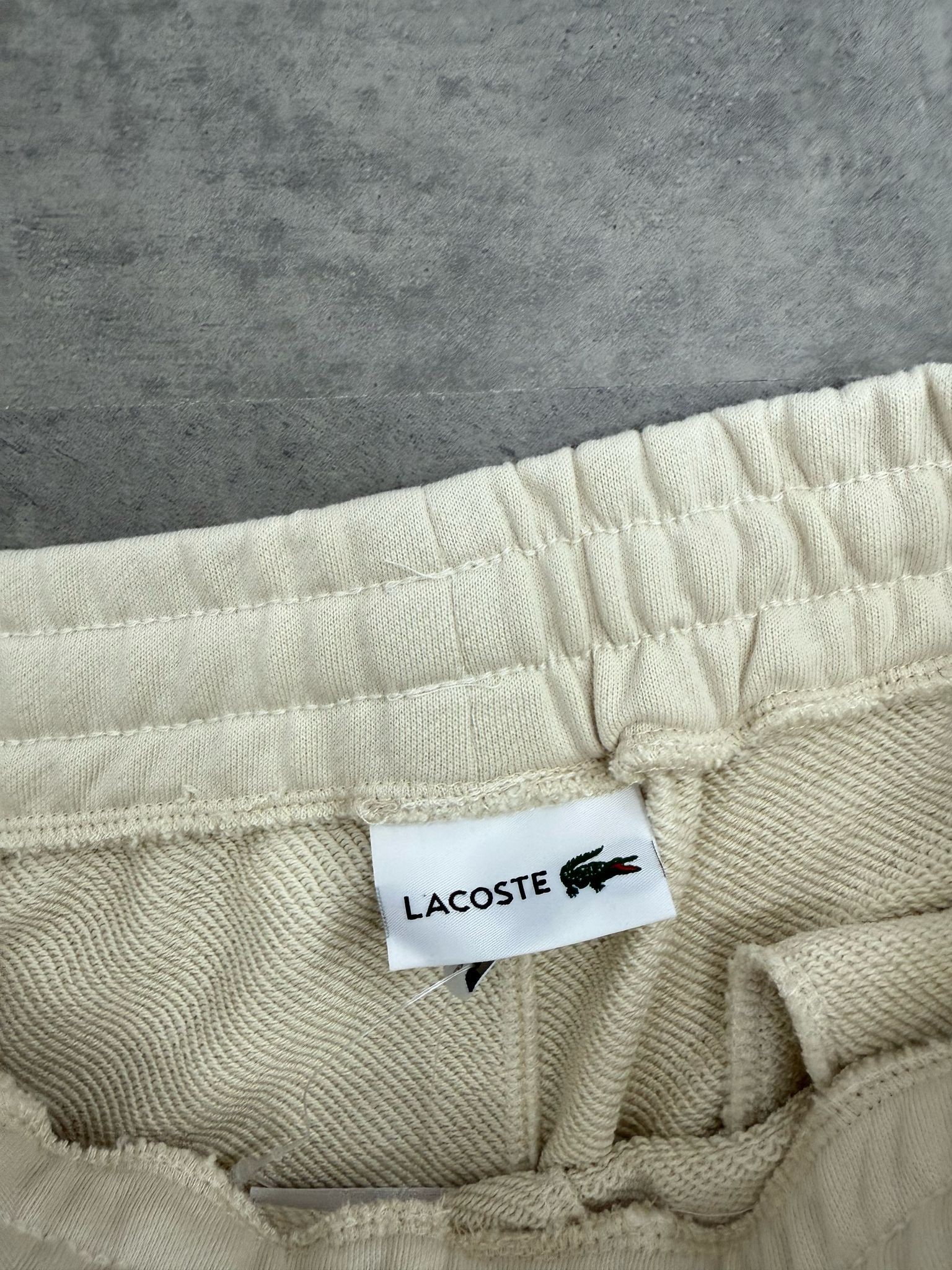 Yeni Sezon Ceast Tree Logo Eşofman Altı
