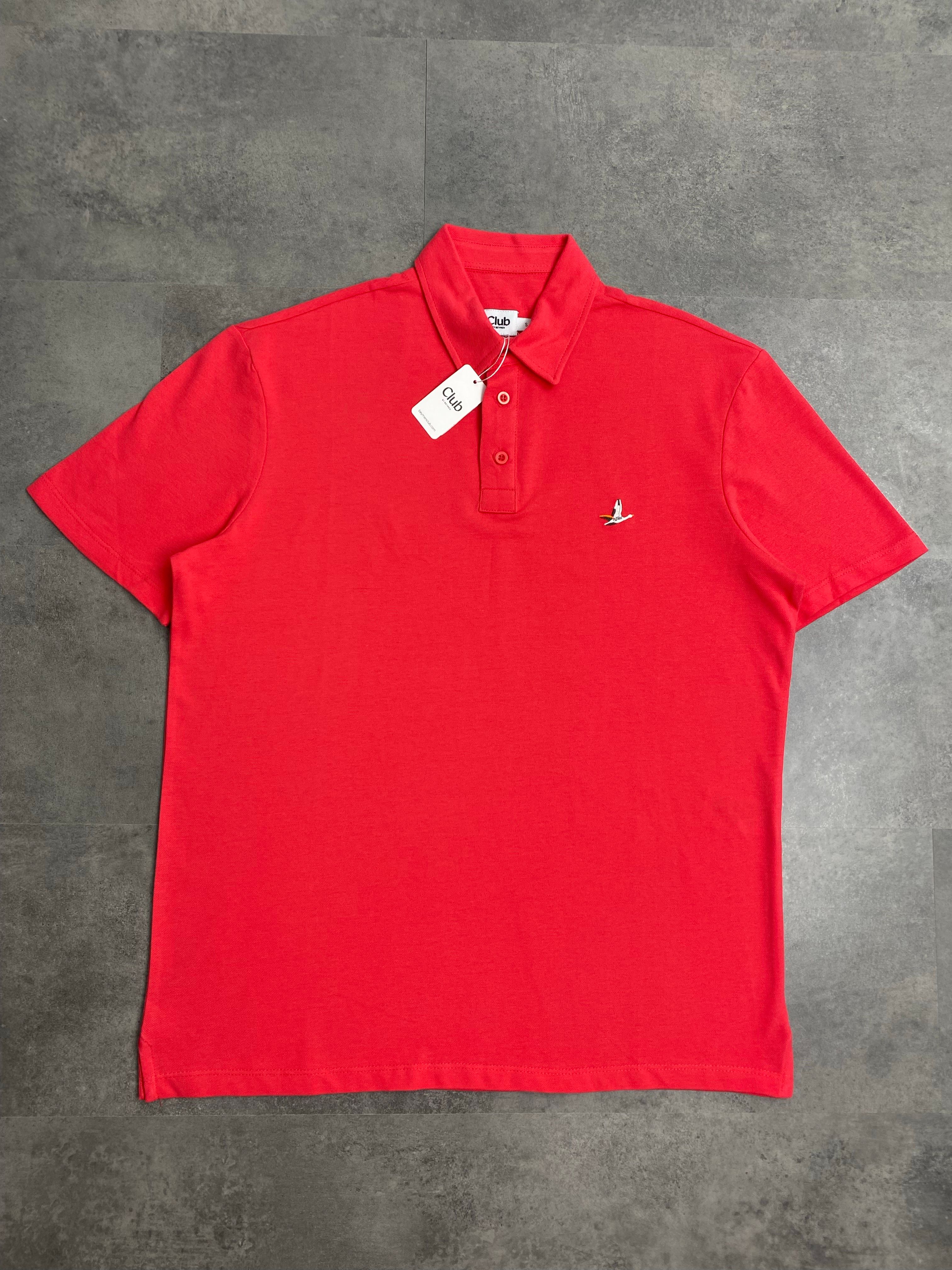 Yeni Sezon Classic Mini Logo Colourful Polo Yaka - NAR ÇİÇEĞİ