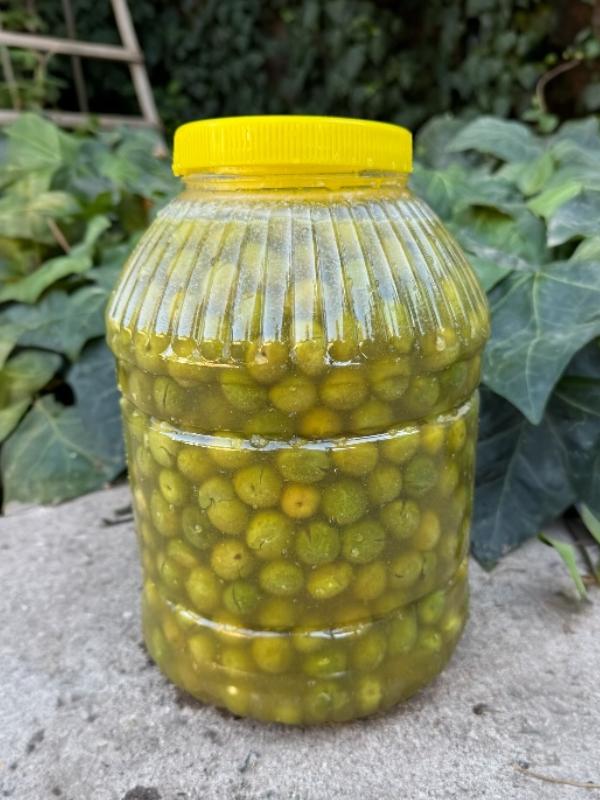 Halhalı Taş Kırma Zeytin 5 lt- YENİ MAHSUL