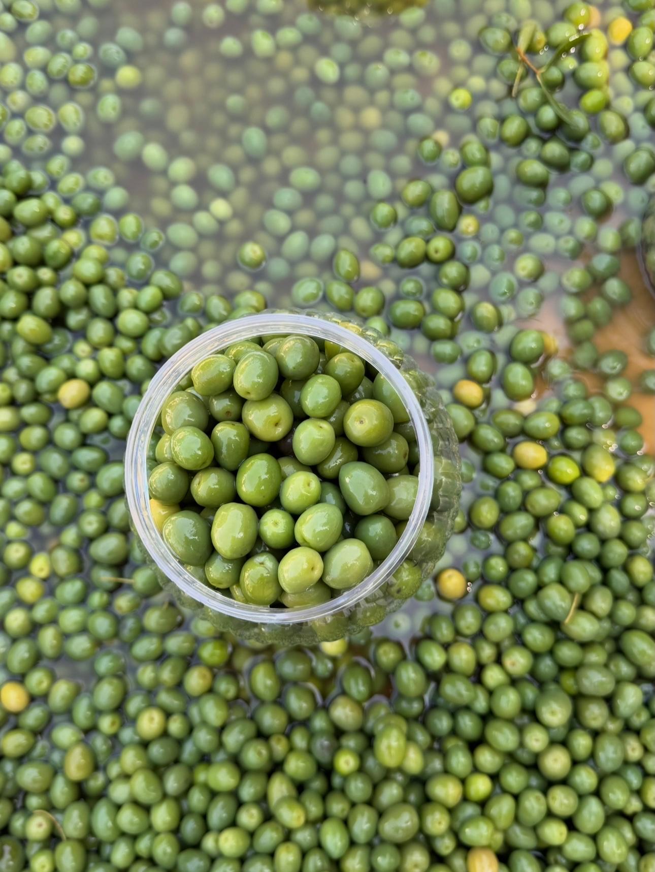 Külleme Zeytin 1 kg