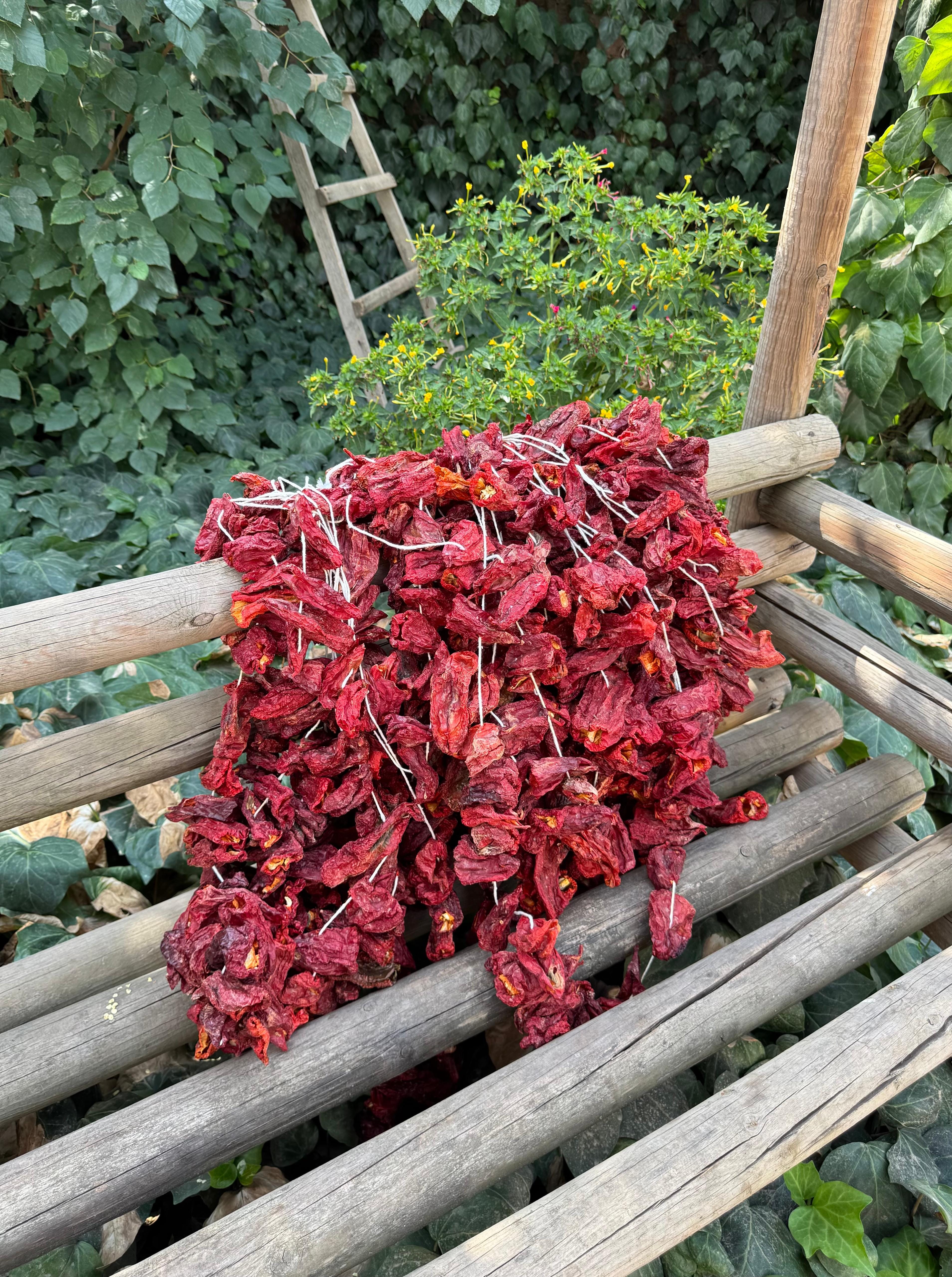 Dolmalık Kuru Kırmızı Kapya Biber 