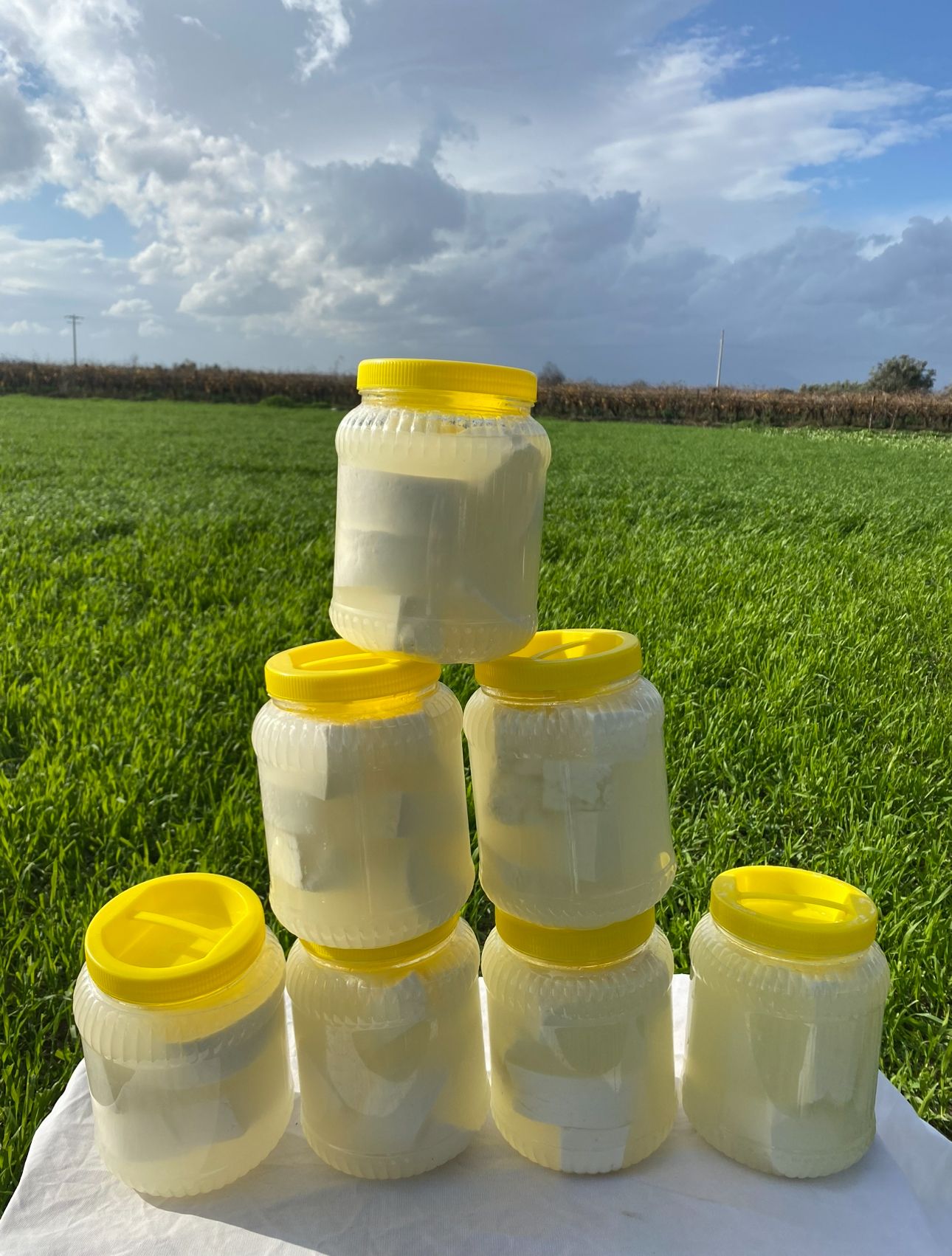 3 kg Taze Köy Peyniri 
