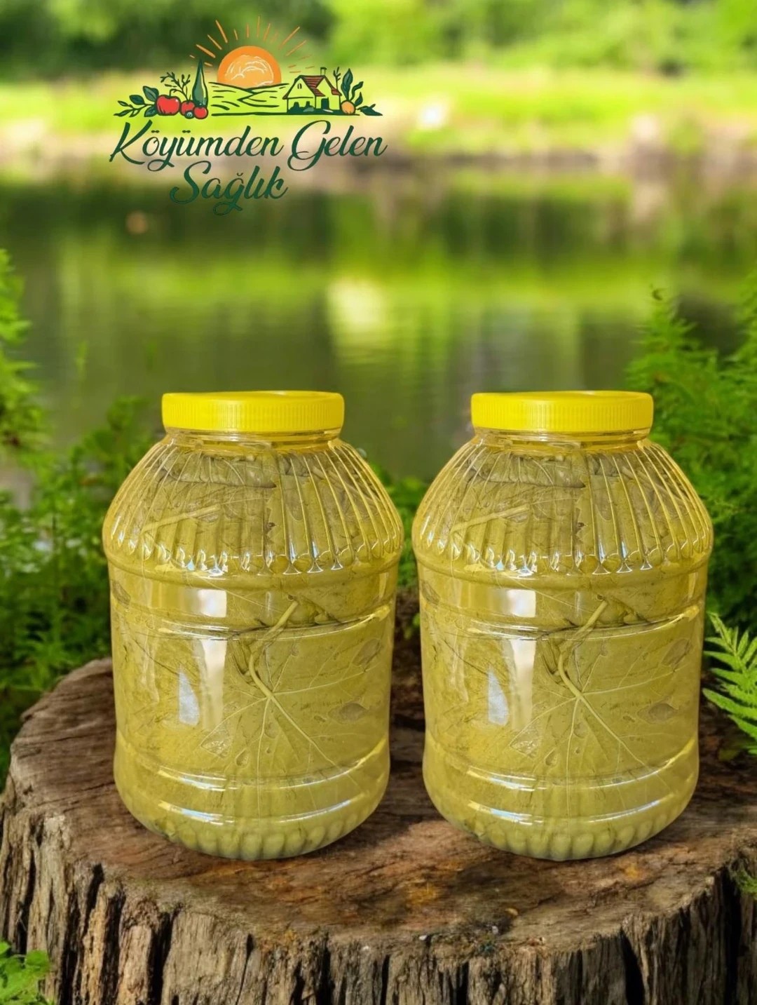 2 Adet Salamura Yaprak 5lt 