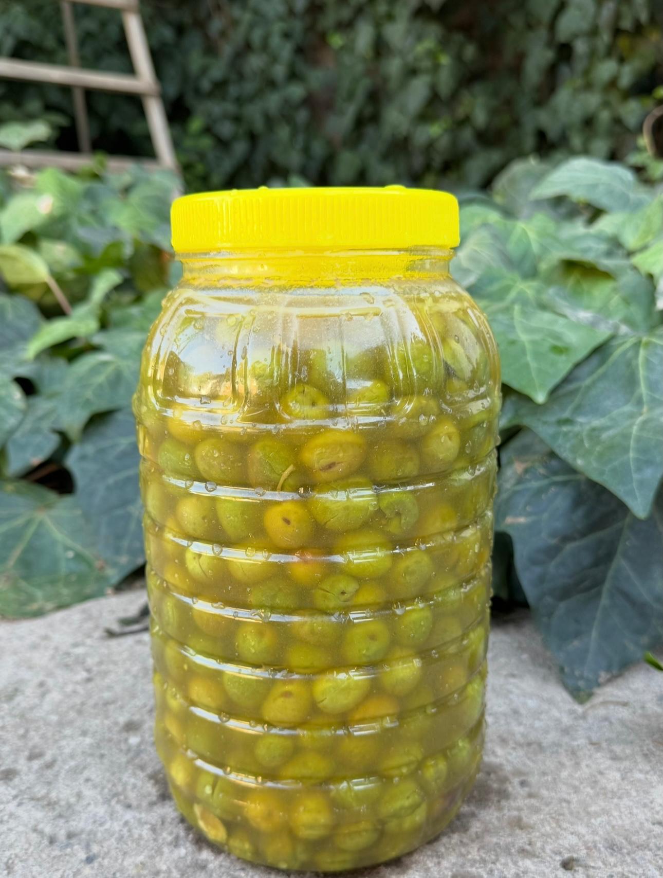 Halhalı Taş Kırma Zeytin 3 lt - YENİ MAHSUL