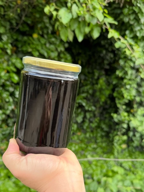 Keçiboynuzu (Harnup) Pekmez 800gr 