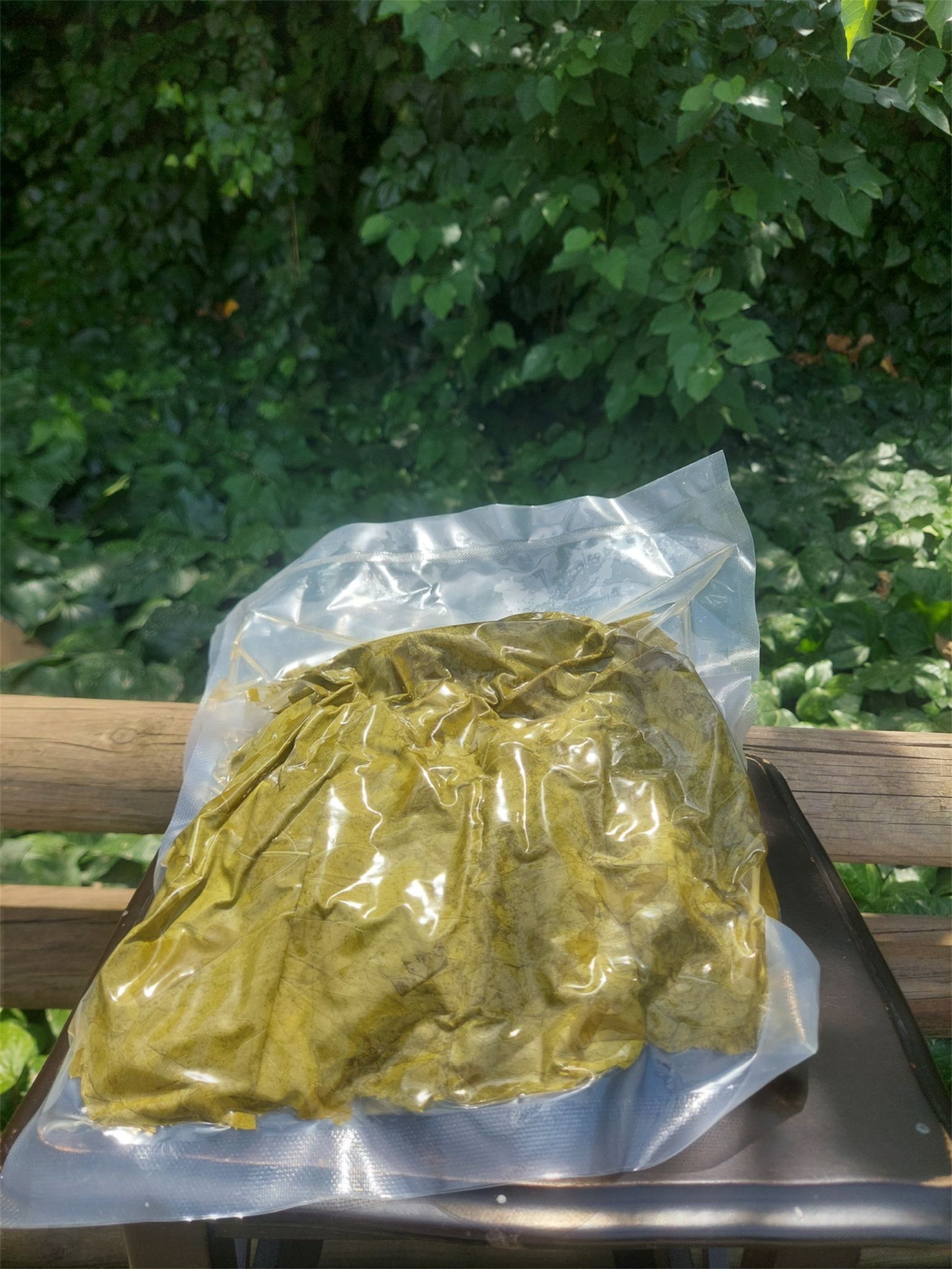 Vakumlu Salamura Yaprak 1 kg